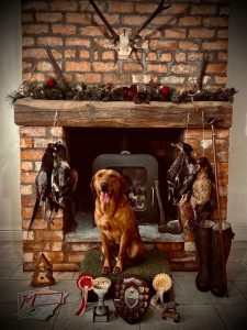 2be1b3a8 7354 4d40 b991 baef74dc2872 Fox Red Labradors And Friends