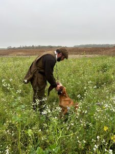 750fc035 8103 4189 b7a7 ceda2311654d Fox Red Labradors And Friends