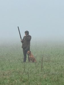 89f91ce1 291d 42fd ad9a 4c4f62f8d0d2 Fox Red Labradors And Friends