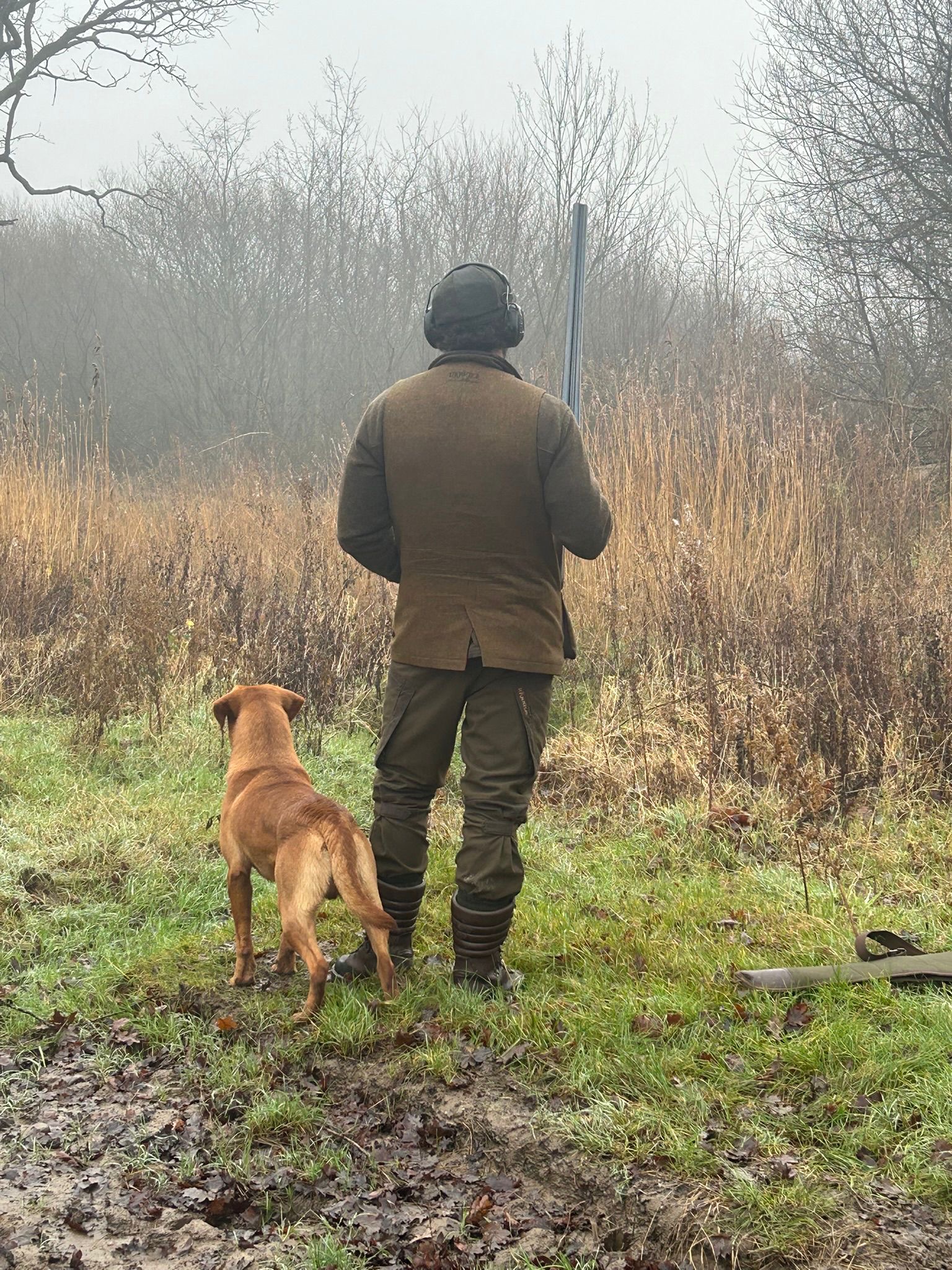 Fox Red Labradors 20 d77f48ac d73e 4da1 ac13 5276eb70a974 Fox Red Labradors And Friends