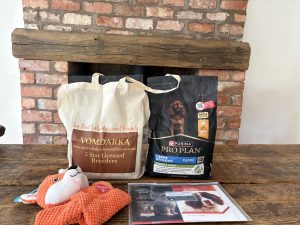 IMG 4897 Fox Red Labradors And Friends